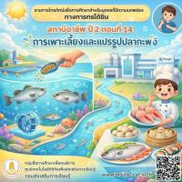 รายการสถานีอาชีพ ปี 2 ตอนที่ 14 การเพาะเลี้ยงและแปรรูปปลากะพง (มีภาษามือ)