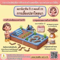รายการสถานีอาชีพ ปี 2 ตอนที่ 23 การเลี้ยงปลาไหลนา (มีภาษามือ)